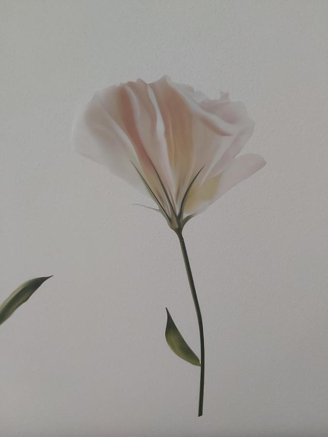 Candy'S Dream Rooms 라스페치아 외부 사진
